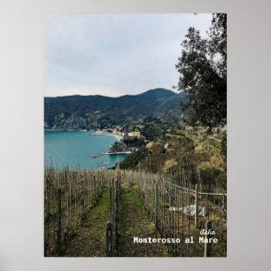 Rese Italien - Monterosso Winter Vineyard Poster