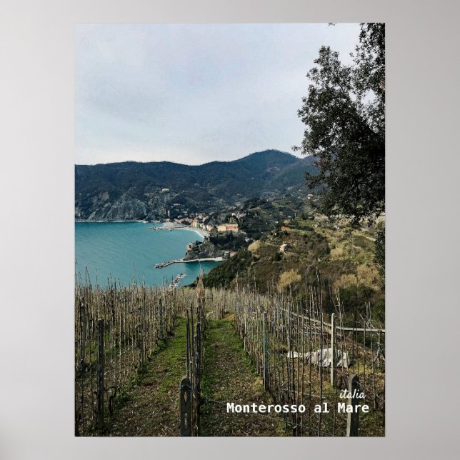 Rese | Italien - Monterosso Winter Vineyard Poster (Framsidan)
