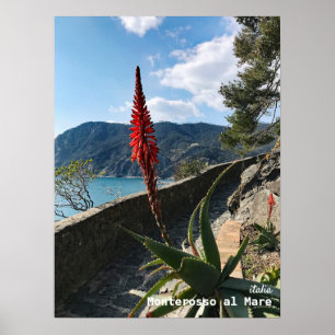 Rese   ITALIEN Poster