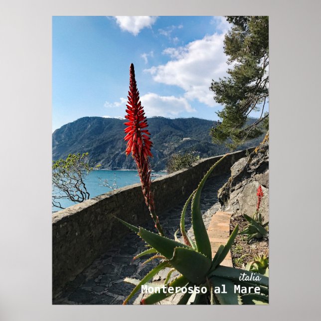 Rese | ITALIEN Poster (Framsidan)