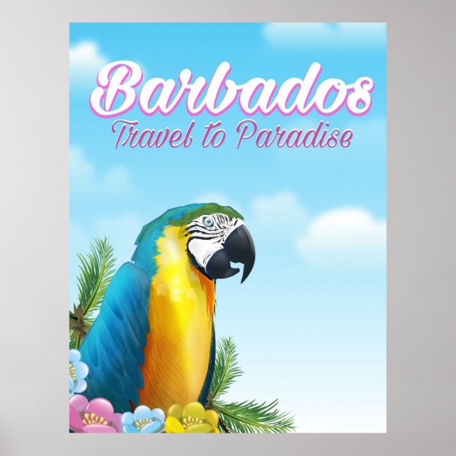 Reseaffisch för Barbados Parrot Poster (Framsidan)