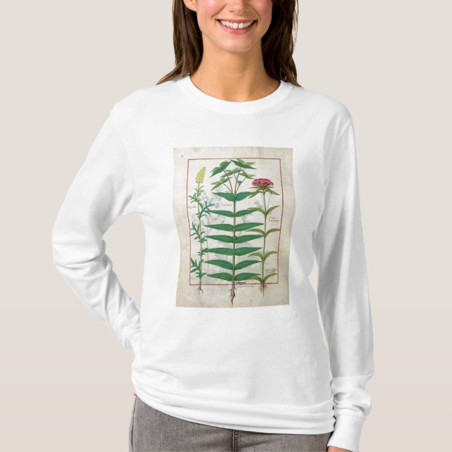 Reseda, Euphorbia och Dianthus T Shirt (Framsida)