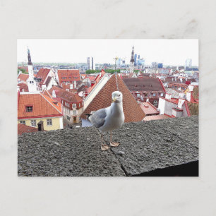 Resefoto. Estland, Tallinn Vykort