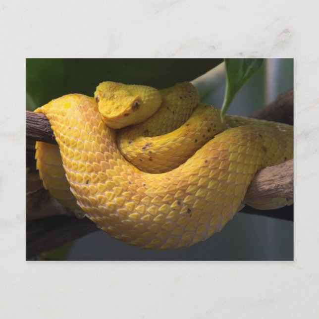 Reseinsamling av vykort 2 (Framsida)