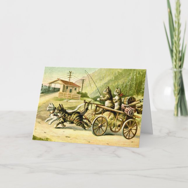 Resekortet för katter kort (Framsida)