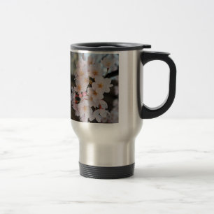 Resemugg av körsbärssystem Blommar