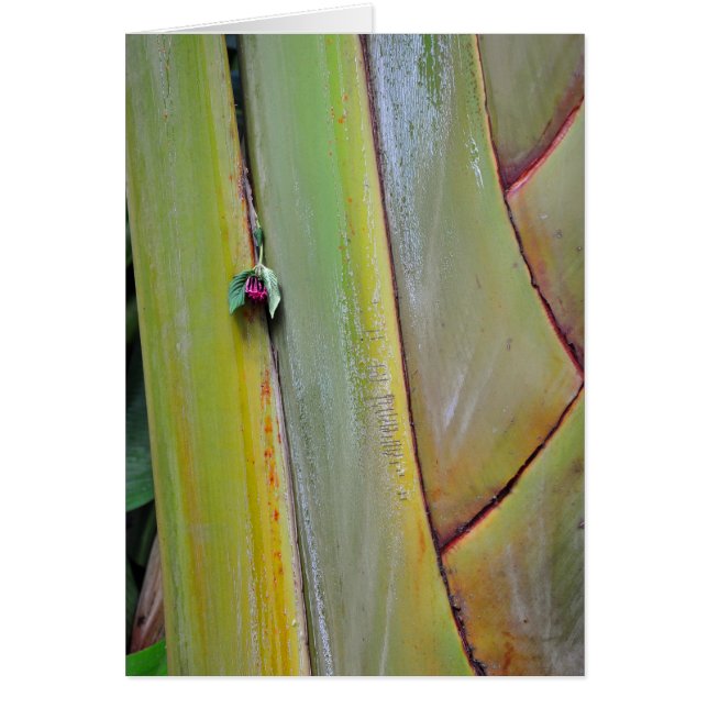 Resenärer Handflatan Träd Hälsningskort (Framsidan)