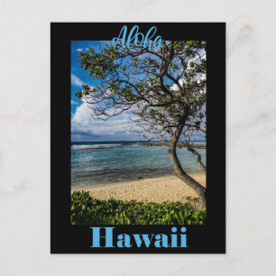 Resepostkort - Hawaii Vykort