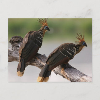 Resesamlingskort 10 vykort