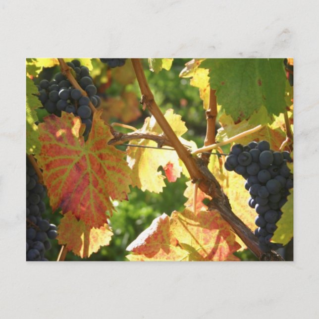 Resesamlingskort 65 vykort (Framsida)