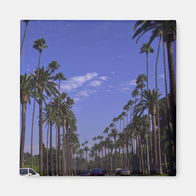 Residential Rodeo Drive, Beverly Backe, Kalifornie Magnet (Framsidan)