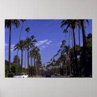 Residential Rodeo Drive, Beverly Backe, Kalifornie