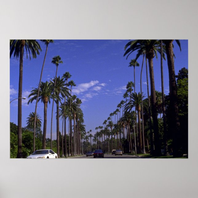 Residential Rodeo Drive, Beverly Backe, Kalifornie Poster (Framsidan)