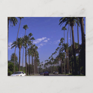 Residential Rodeo Drive, Beverly Backe, Kalifornie Vykort