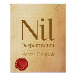 Resilience Motivational Quote - Latin Poster Art Perfect Poster