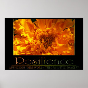 Resilience Poster