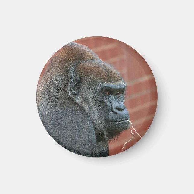 Resilient Gorilla Mor Magnet (Framsidan)