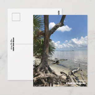 Resor Florida - Cape San Blas Strand Vykort
