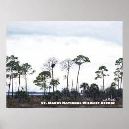 Resor | Florida - Eagles Nest, St. Marks Wildlife Poster
