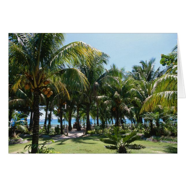 Resort för båge hälsningskort (Framsidan Horizontal)