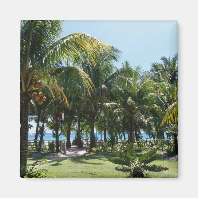 Resort för båge magnet (Framsidan)