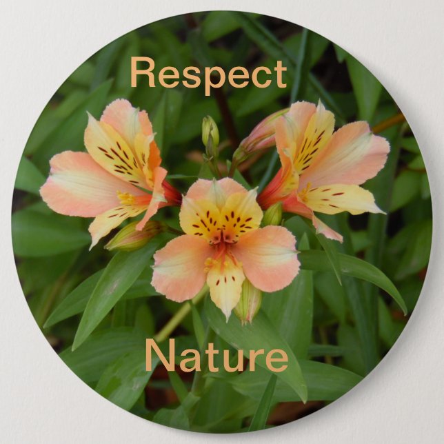 Respekt för naturen: Dag Lily Button Knapp (Framsida)