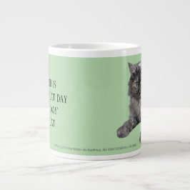 Respektera din katt av RoseWrites Jumbo Mugg