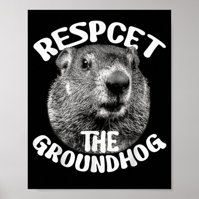 Respektera Murmeldagen Ground Hog Day _1  Poster (Framsidan)