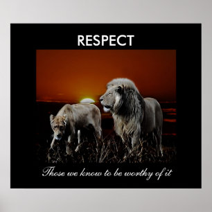 respektera poster