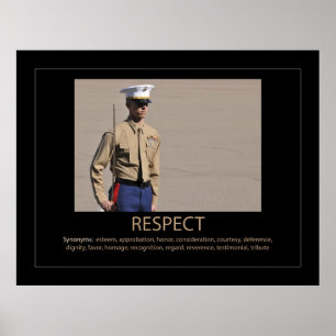respektera poster