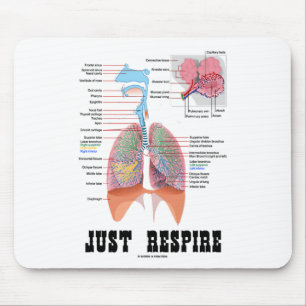 Respire Musmatta
