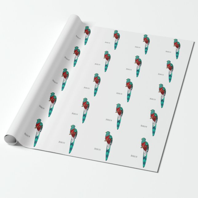 Resplendent quetzal bird cartoon illustration  presentpapper (Utrullad)