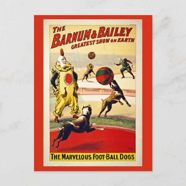 Restaurang, Barnum och Bailey, hundar, fotboll Vykort (Framsida)