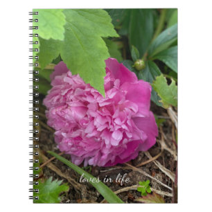 Resten av Rosa Peony Anteckningsbok