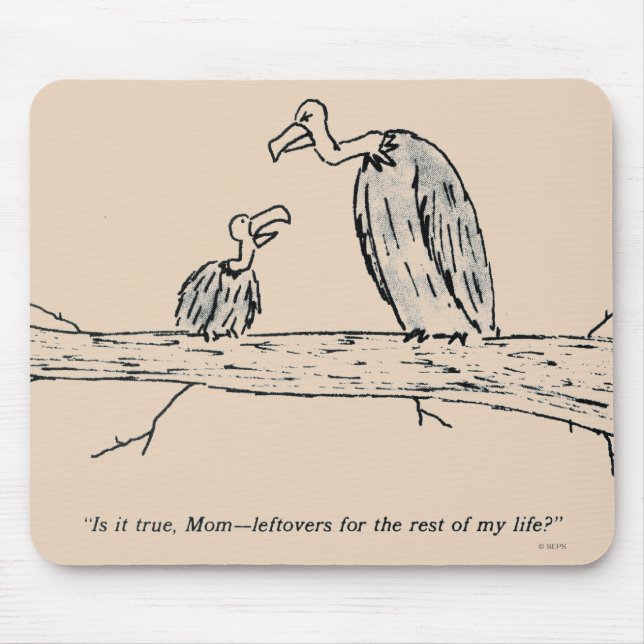 Rester Musmatta (Framsidan)