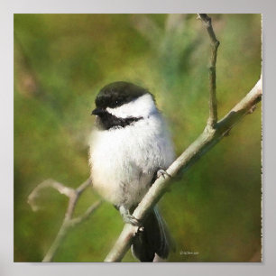 Resterande Chickadee - ETSY Poster