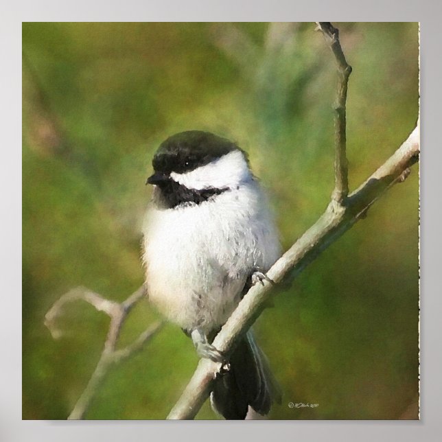 Resterande Chickadee - ETSY Poster (Framsidan)