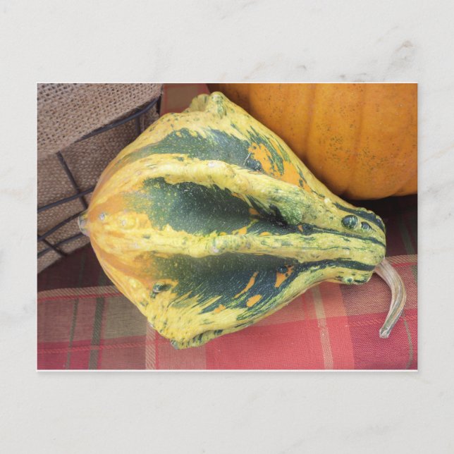Resterande gourd vykort (Framsida)