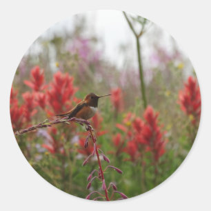 Resterande Hummingbird Runt Klistermärke