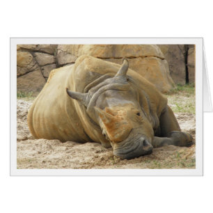 Resterande Rhino OBS Kort