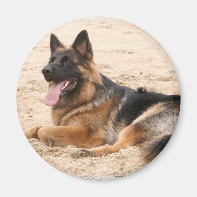 Resterande tysk Shepherd Hund Magnet (Framsidan)