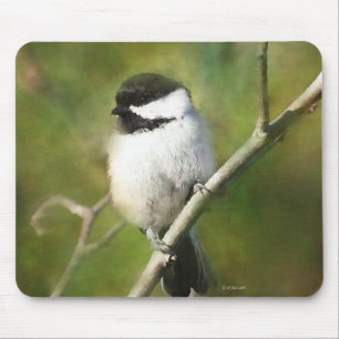 REsting Chikadee - ETSY Musmatta