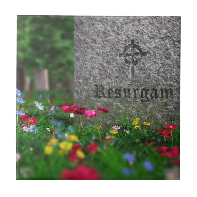 Resurgam Decorative Tile Kakelplatta (Framsidan)