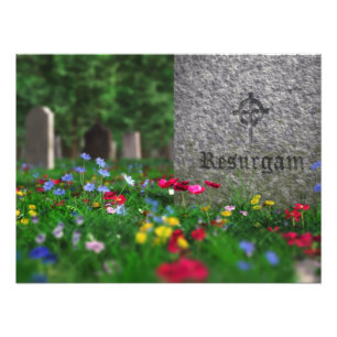 Resurgam Photo Print Fototryck