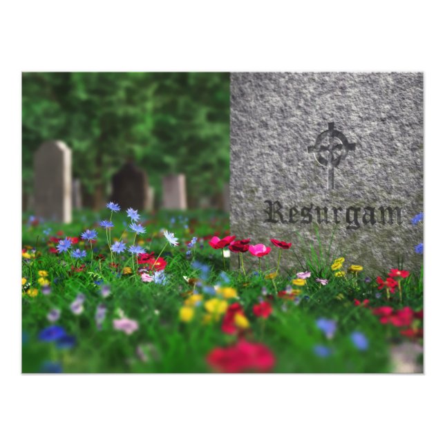 Resurgam Photo Print Fototryck (Framsidan)