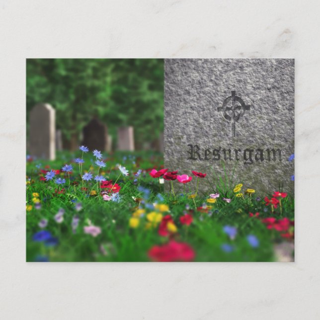 Resurgam-vykort Vykort (Framsida)