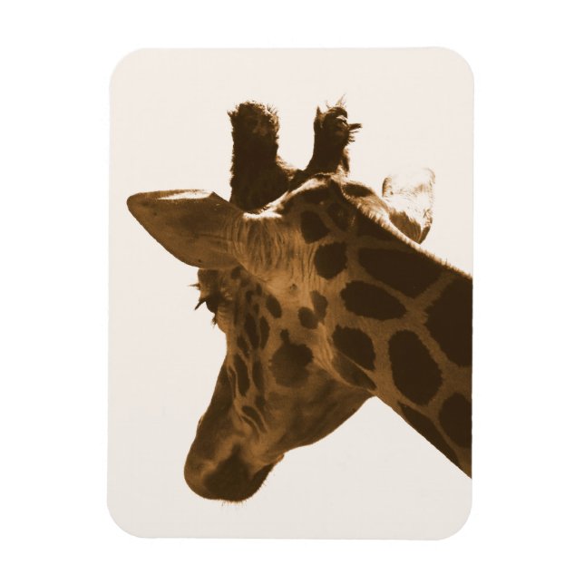 Reticulate Giraffe-profil Magnet (Vertikal)