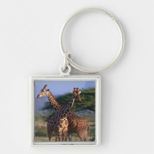 Reticulated giraff 2 fyrkantig silverfärgad nyckelring