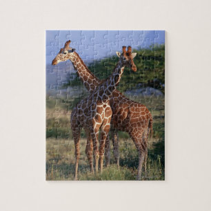Reticulated giraff 2 pussel