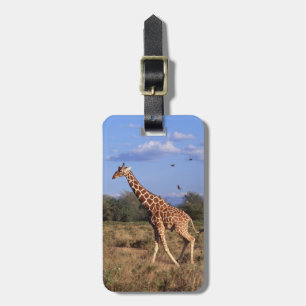 Reticulated giraff bagagebricka
